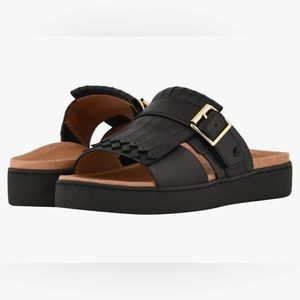 VIONIC Fillmore Slides